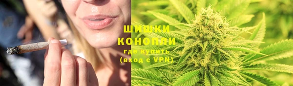 гидра Краснослободск