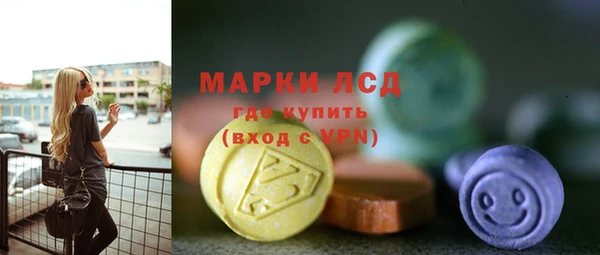 гидра Краснослободск