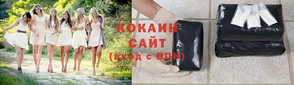 гидра Краснослободск